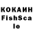 COCAIN Fish Scale Velmox Kent